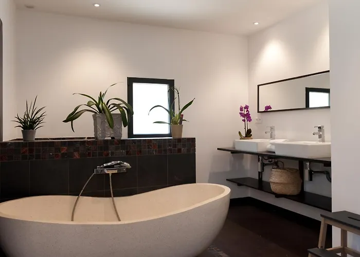 Locations De La Casette D'araggio *